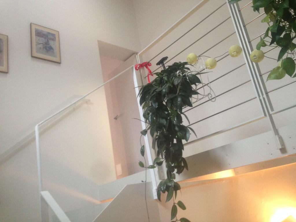 Apartmán La Casina Parma Exteriér fotografie